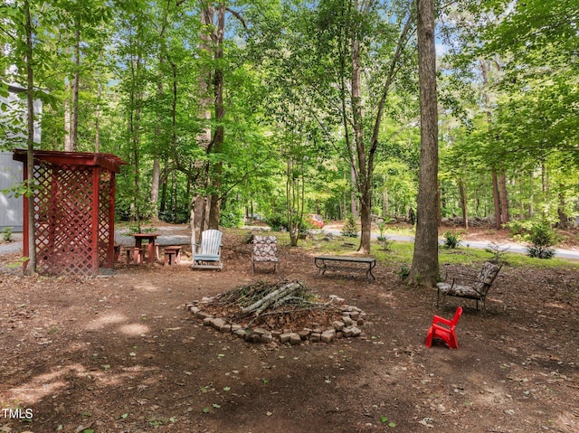 view of yard