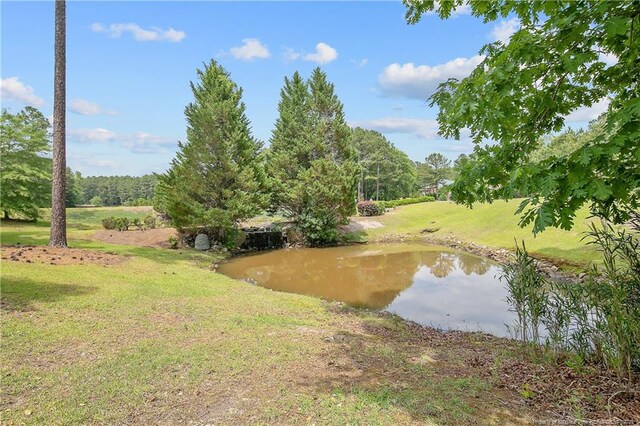 42 Skipping Water Dr, Spring Lake, NC 28390 - view of green lawn