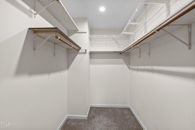 walk in closet with carpet floors