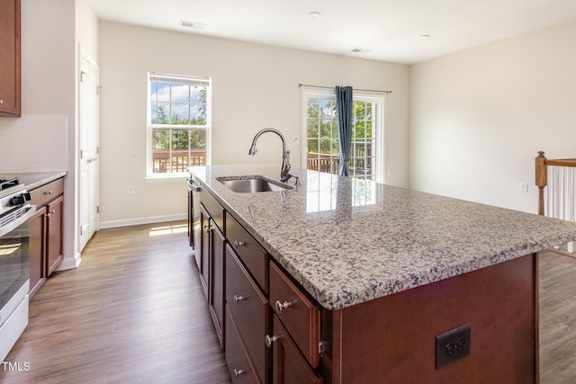 kitchen featuring a sink, wood finished floors, healthy amount of natural light, and a kitchen island with sink