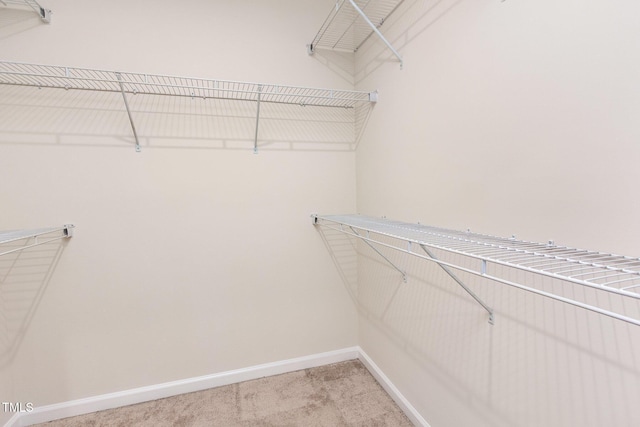spacious closet featuring light carpet