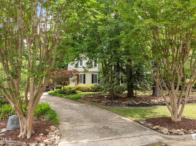 18 Acornridge Ct, Durham, NC 27707 - view of property hidden behind natural elements