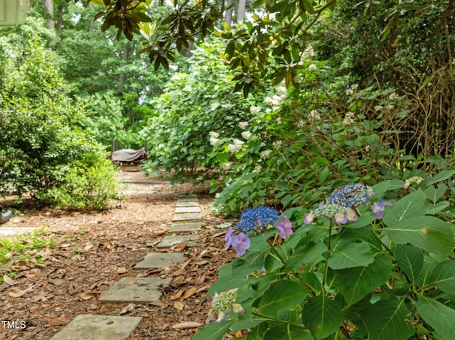 18 Acornridge Ct, Durham, NC 27707 - view of yard