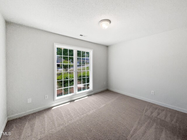 5612 Tealbrook Dr, Raleigh, NC 27610 - unfurnished room with carpet, baseboards, and a textured ceiling