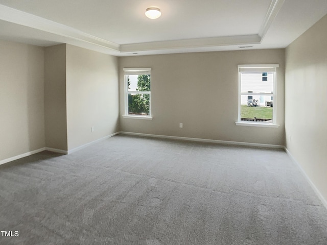 empty room featuring a tray ceiling, carpet, and baseboards