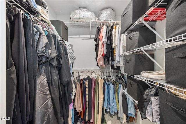 926 Romeria Dr, Durham, NC 27713 - view of walk in closet