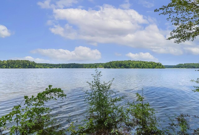 13417 New Light Rd, Raleigh, NC 27614 - water view with a forest