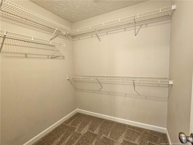 walk in closet with dark carpet