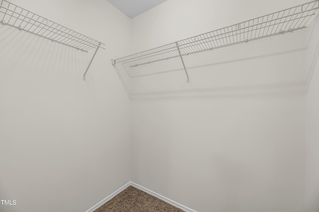 walk in closet featuring dark carpet