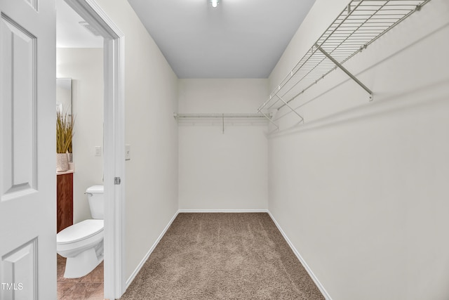 walk in closet with carpet