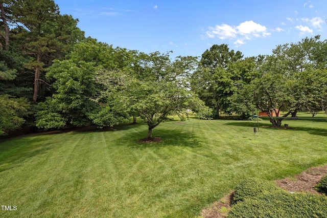 913 Milton Rd, Durham, NC 27712 - view of green lawn