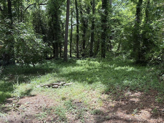 view of wooded area