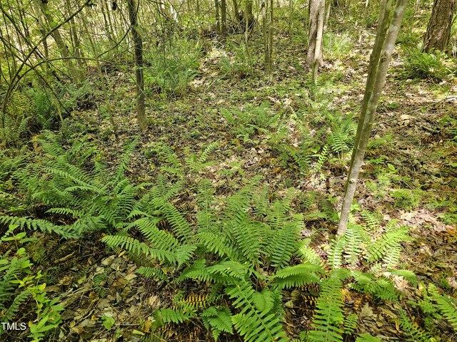 0 Alert Rd, Louisburg, NC 27549 - photo 7