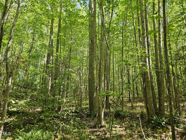 0 Alert Rd, Louisburg, NC 27549 - photo 13