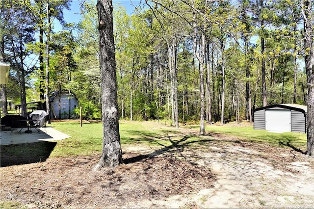 120 Will Lucas Rd, Linden, NC 28356 - view of grassy yard featuring an outbuilding, a patio area, a shed, and a detached garage