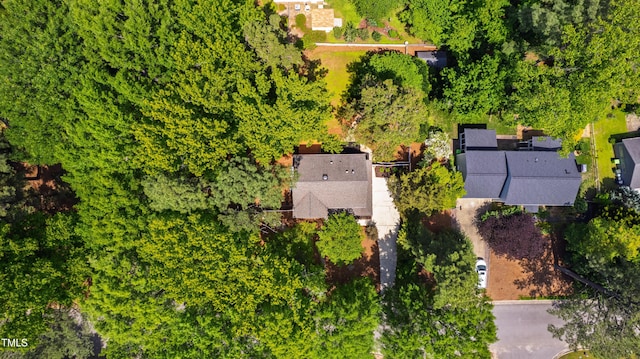 bird's eye view