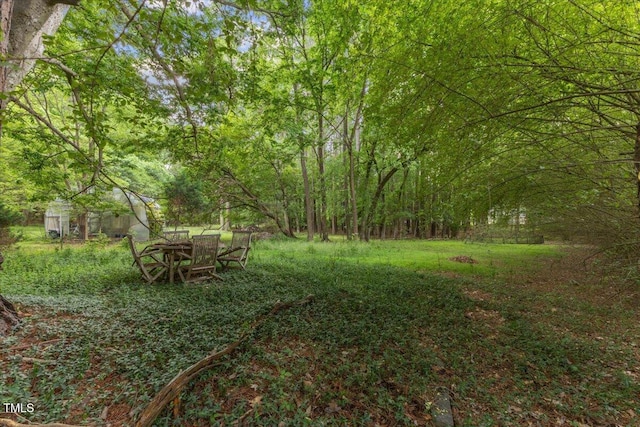 4713 Erwin Rd, Durham, NC 27705 - view of yard