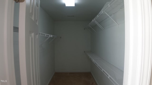 919 Middle Ground Ave, Rolesville, NC 27571 - view of walk in closet