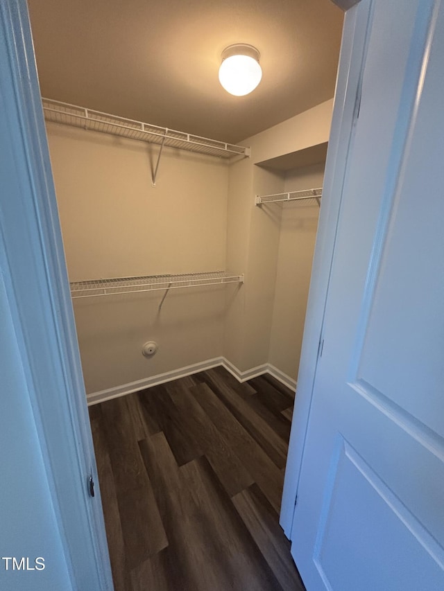 walk in closet featuring dark wood-style floors