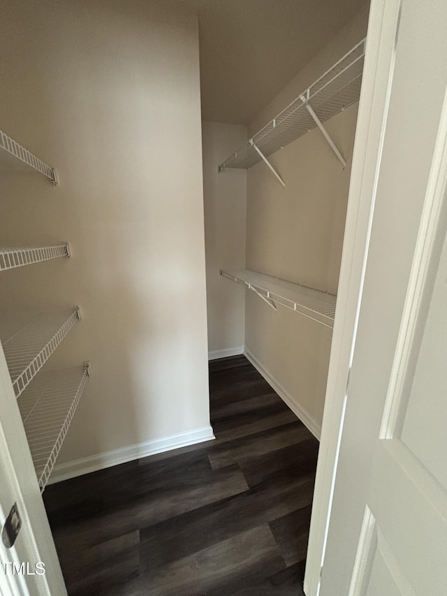 walk in closet with dark wood-style floors