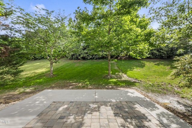 view of green lawn with a patio area