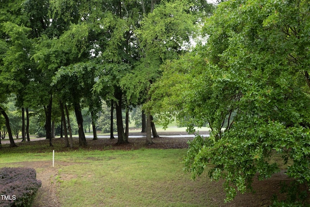 view of grassy yard