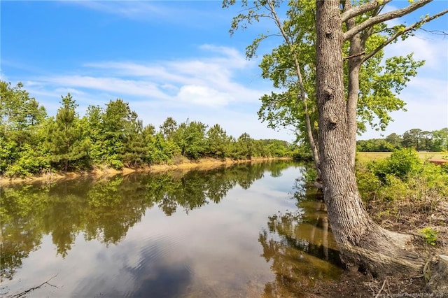 6955 S W St, Godwin, NC 28344 - water view featuring a forest