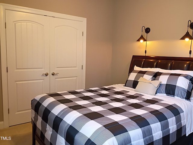 243 Nortwick Rd, Rolesville, NC 27571 - bedroom with a closet and light carpet