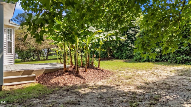 765 S Hollybrook Rd, Wendell, NC 27591 - view of yard featuring a deck