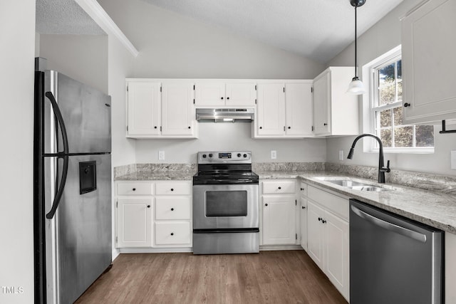 765 S Hollybrook Rd, Wendell, NC 27591 - kitchen with stainless steel appliances, under cabinet range hood, a sink, vaulted ceiling, and wood finished floors