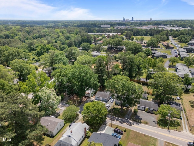 bird's eye view