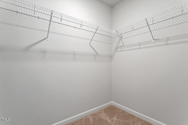 212 Sea Trail St, Hillsborough, NC 27278 - spacious closet featuring carpet floors