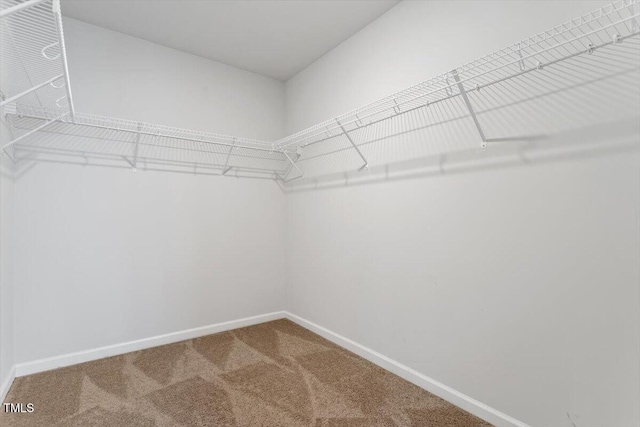 212 Sea Trail St, Hillsborough, NC 27278 - walk in closet with carpet flooring