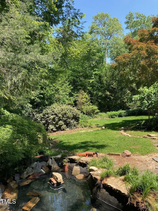 view of tree filled area