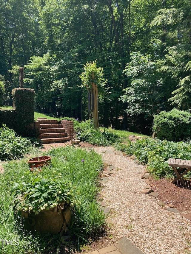 surrounding community featuring a view of trees