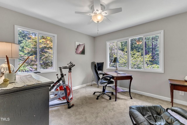 10909 Raven Rock Dr, Raleigh, NC 27614 - home office with plenty of natural light, carpet flooring, a ceiling fan, and baseboards
