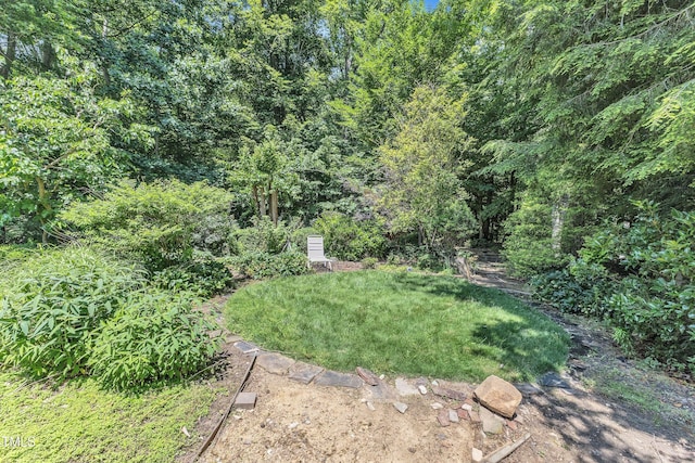 10909 Raven Rock Dr, Raleigh, NC 27614 - view of yard featuring a view of trees