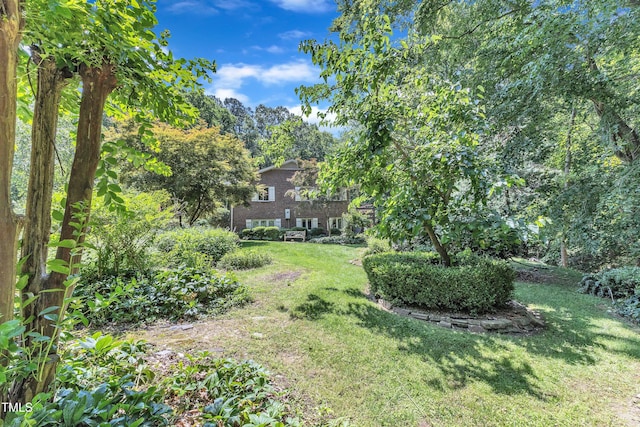 10909 Raven Rock Dr, Raleigh, NC 27614 - view of grassy yard