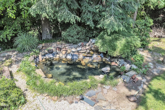 10909 Raven Rock Dr, Raleigh, NC 27614 - view of yard with a small pond