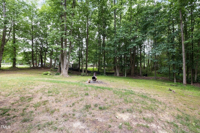 687 W Watson Rd, Benson, NC 27504 - view of yard