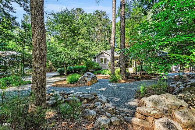289 Stoneview, Pittsboro, NC 27312 - view of yard
