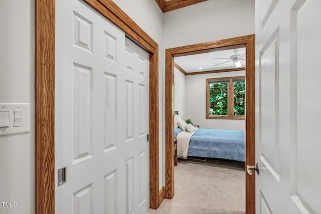 289 Stoneview, Pittsboro, NC 27312 - corridor featuring crown molding and light colored carpet