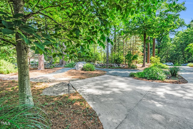 289 Stoneview, Pittsboro, NC 27312 - view of surrounding community