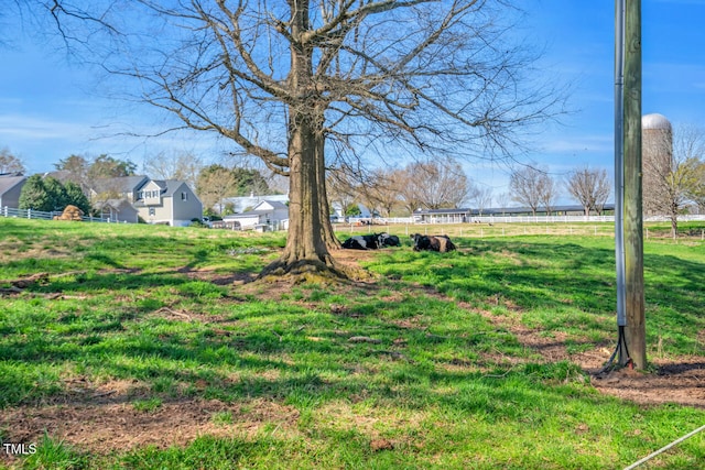 289 Stoneview, Pittsboro, NC 27312 - view of yard
