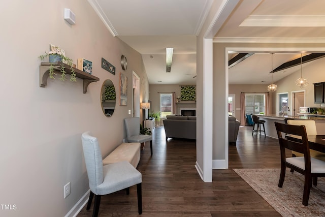 corridor featuring healthy amount of natural light, dark wood finished floors, ornamental molding, and baseboards