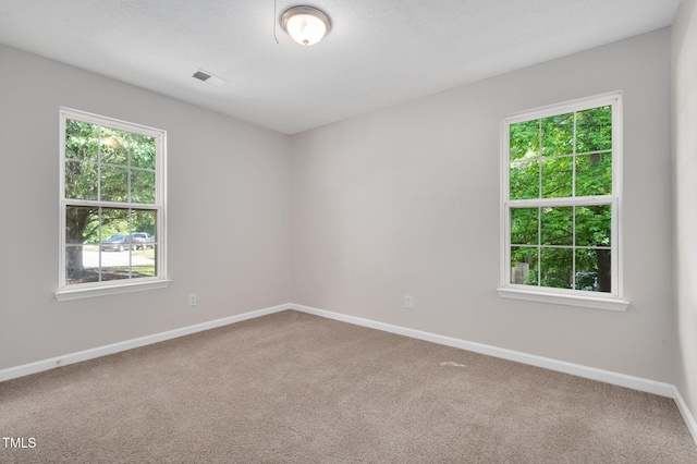 empty room with plenty of natural light, carpet flooring, and baseboards