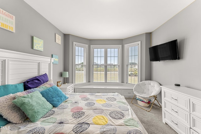 bedroom featuring carpet