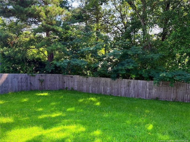 6651 Brookshire St, Fayetteville, NC 28314 - view of yard