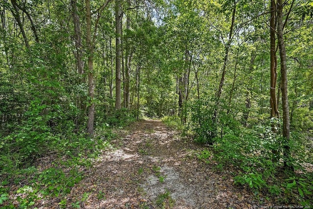 7255 Fishtail Rd, Stedman, NC 28391