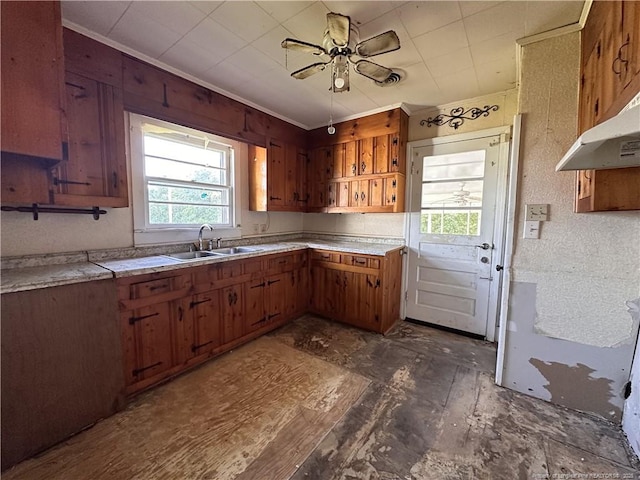 6695 Maxwell Rd, Stedman, NC 28391 - kitchen featuring a sink, ornamental molding, open shelves, a ceiling fan, and brown cabinets